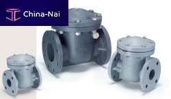 Swing check valve JW300 flangePVC
