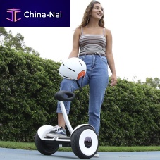 Segway© miniLITE