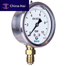 Relative pressure gauge M0301 series dialthreadedpanel-mount