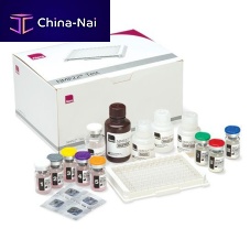 Bladder cancer test kit NMP22®oncologyurineenzyme immunoassay