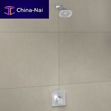 Wall-mounted shower head D3510977Covalcommercial