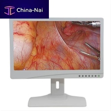 Endoscopy display