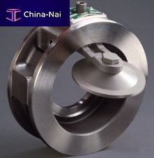 Swing check valve wafer