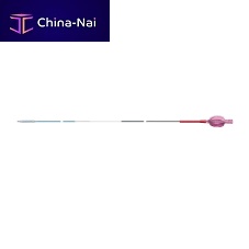 PTCA catheter Gusta® blood vesselballoonhydrophilic