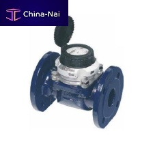 Digital water meter WP-D