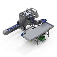 Processing line for the food industry for broccoli