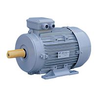 Three-phase motor MSL/MS/ME/MEP/MEFasynchronousIP55IP54