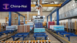 Cartesian palletizer roboticpositioninghandle