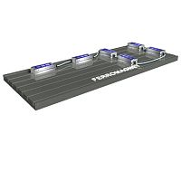 Electro-permanent magnetic module