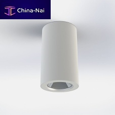 Surface mounted downlight LEDroundindoor