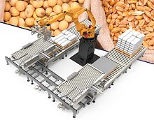 Robotic palletizer for boxes