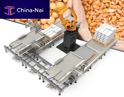 Robotic palletizer for boxes