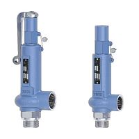 Safety valve 1