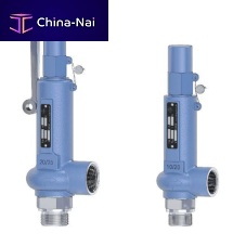 Safety valve 1