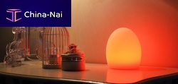 Table lamp EGGplasticoriginal designwireless