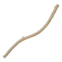 Artery vascular bioprosthesis 10171250026allograft