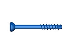 Odontoid process compression bone screw ATLAScervical vertebracannulatedmetallic