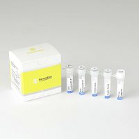 Lung cancer rapid screening test PNACIamp oncologyROS1 FusionFFPE tissues