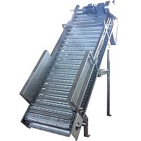 Bucket elevator for the food industry TSSPBEchainmotorizedtransport