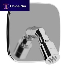 Wall-mounted shower head VIAREGGIO R Lroundcommercial