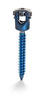 Polyaxial pedicle screw ISSmetallic