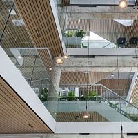 Solid wood suspended ceiling LINEAR CLOAKstripfloatingfor office