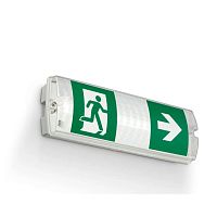 Surface mounted emergency light BULKHEADrectangularovalLED