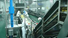 Washing fruit processing line