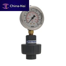 Analog pressure gauge GG seriesdialdiaphragm