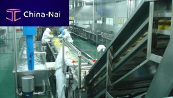 Washing fruit processing line
