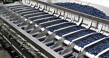 Automatic filling system CUROfor foodconveyorfor the food industry