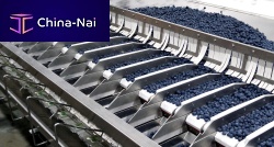 Automatic filling system CUROfor foodconveyorfor the food industry