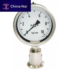 Diaphragm seal with flange connection DT106 for pressure gaugesprocesssanitary