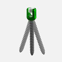 Lumbar vertebra pedicle screw polyaxialmetallic