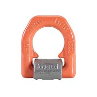 Lashing ring C830X series