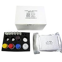 Cancer assay kit OTK001oncologyalpha-fetoproteinserum