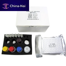 Cancer assay kit OTK001oncologyalpha-fetoproteinserum