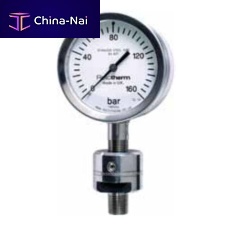 Diaphragm seal with flange connection DSUwith threaded connectionfor pressure gaugesprocess
