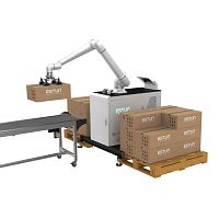 Pallet palletizer roboticpositioning