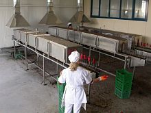 Tunnel oven bakingelectricstainless steel