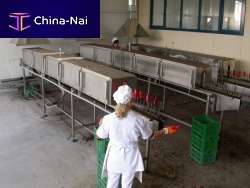 Tunnel oven bakingelectricstainless steel