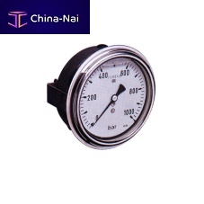 Relative pressure gauge dialpanel-mountanalog output