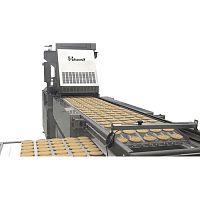 Tray loading system automatedfor the food industry