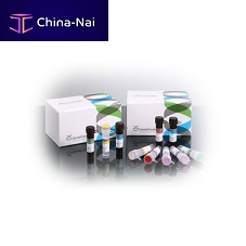 Infectious disease test kit GeneFinder for cervical canceroncologyHPV