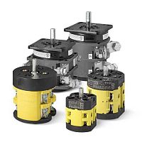 Cam electric switch P0-PX-C0-CX-G seriesrotarymultipoleIP65