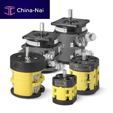 Cam electric switch P0-PX-C0-CX-G seriesrotarymultipoleIP65