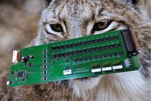 Board multiplexer LYNX 50