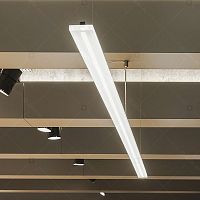 Hanging light fixture EVOLIGHTLEDlinearcommercial