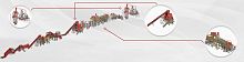 Pet food production line automatic