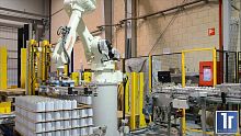 Robotic palletizer bagfor boxestray